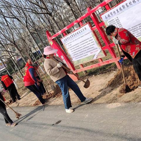 【长垣市林业局】工作动态