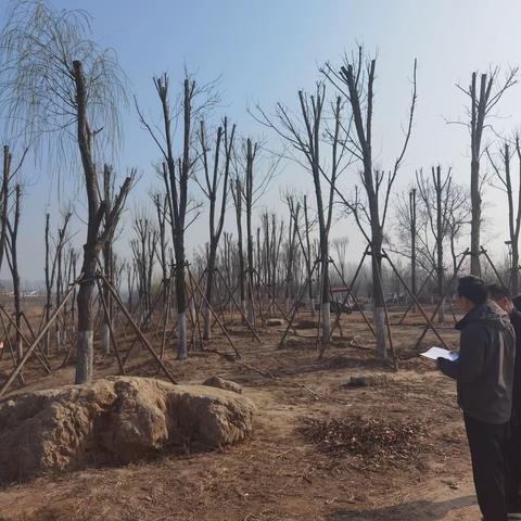 【长垣市林业局】3月6日工作动态