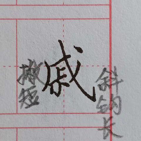 六年级第一课生字（二）