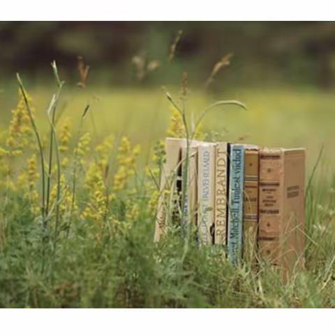 【育英·教师成长】唯有书香最迷人———记清水镇育英小学英语组教师寒假读书活动