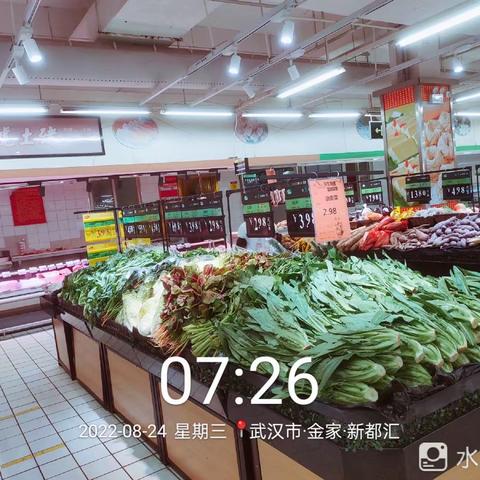 金家店8月24日第一次开业美篇