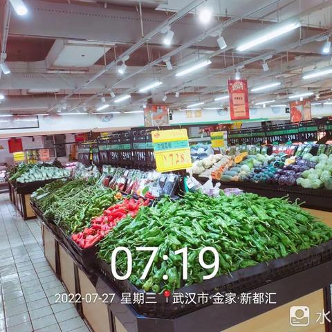 金家店7月27日第一次开业美篇