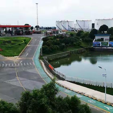 果实累累，鸟语花香