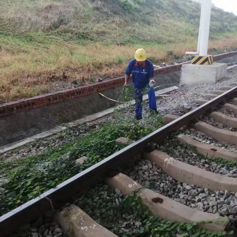 好雨知时节