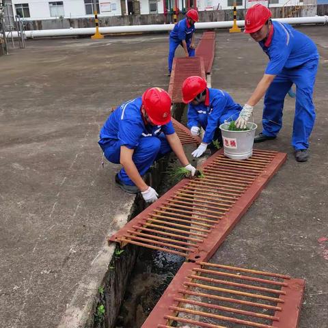 三雷油库综合二班全员劳动日进行中