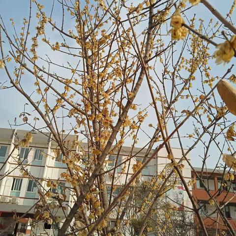 不负春光，一起向未来 高新区第十九初级中学百日誓师大会