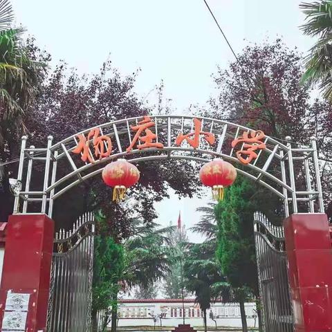 总结表彰    奋力前行------张林镇杨庄小学期中总结表彰大会