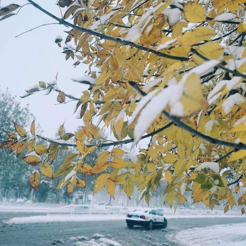 2021年后第一场雪