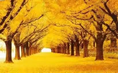 新的跨越（续一）