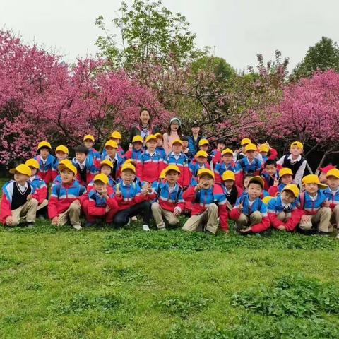 我们的校园生活