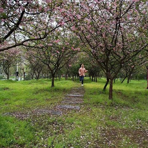 二年级六班胡雨菡