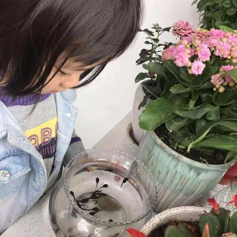 伊禾幼儿园小一班班本课程–––小蝌蚪