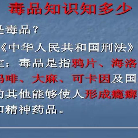 【能力提升建设年】禁毒宣传教育——澄迈县文儒中心学校