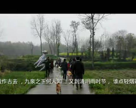 一年的记忆