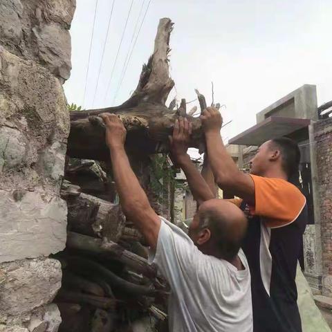 南峪镇基层网格队伍助力人居环境卫生整治