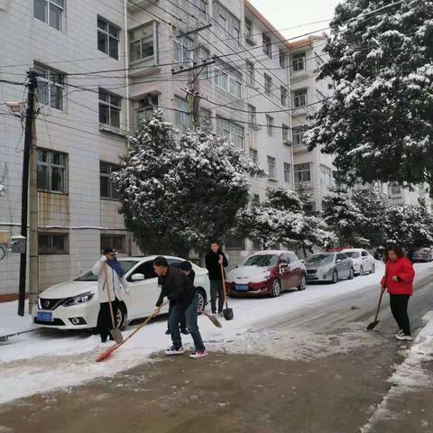 干部职工齐上阵，清雪确保路畅通