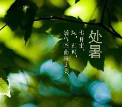 二十四节气之处暑