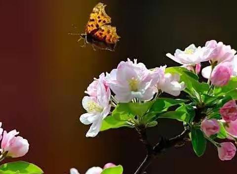 宅家不枯燥，精彩秀出来——六年级语文组宅家秀