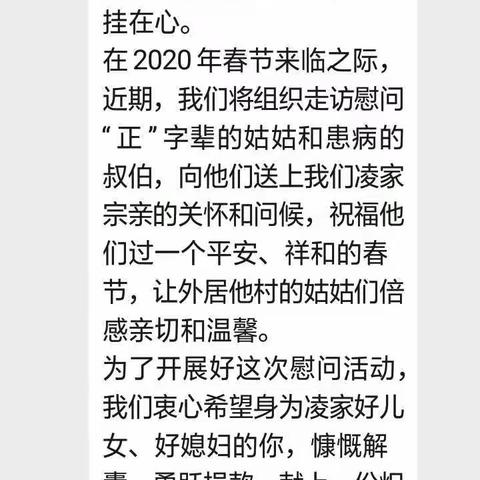 凌氏宗亲慰问姑姑纪行