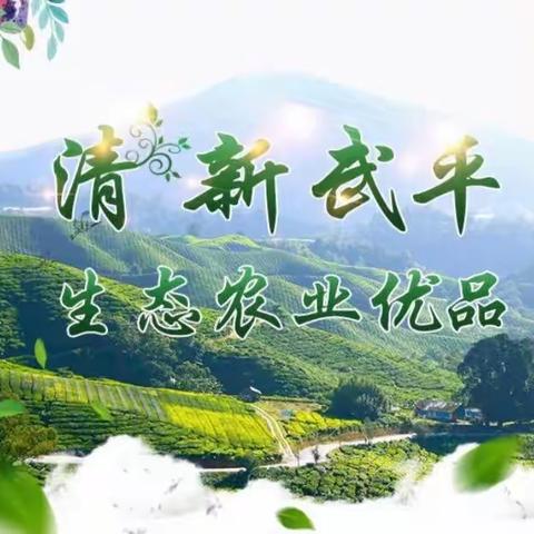 东留芙蓉李 — — 武平邮政精准扶贫项目