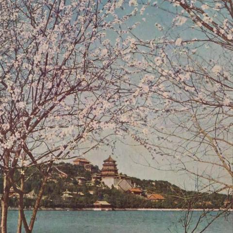 《颐和园（三）/（四）》明信片