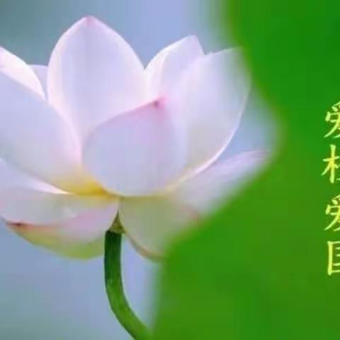 【和爱教育】教研齐聚力  复习促提升——济宁市实验小学数学复习专题研讨活动