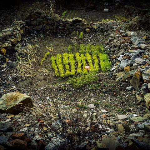 城市的边缘——微地圈