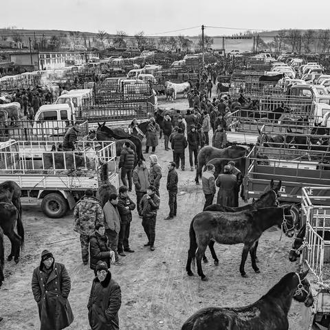 牲畜交易市场里的故事---2014___2019