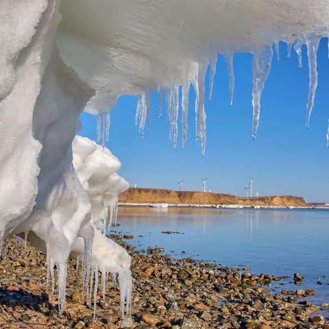 冬季到这里来赶海