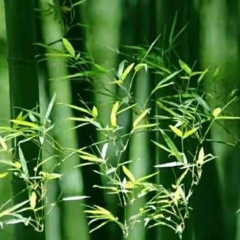 物业服务中心1月第4周周报