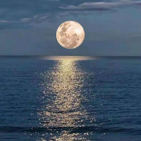 物业服务中心9月第二周周报