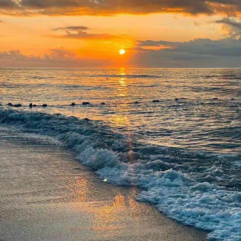 物业服务中心10月第一周周报