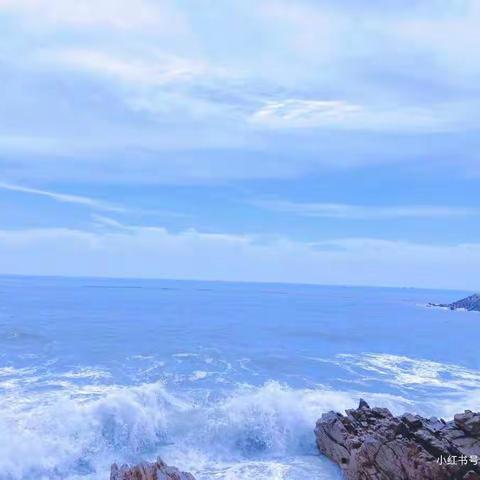 七七一所6月第四周周报