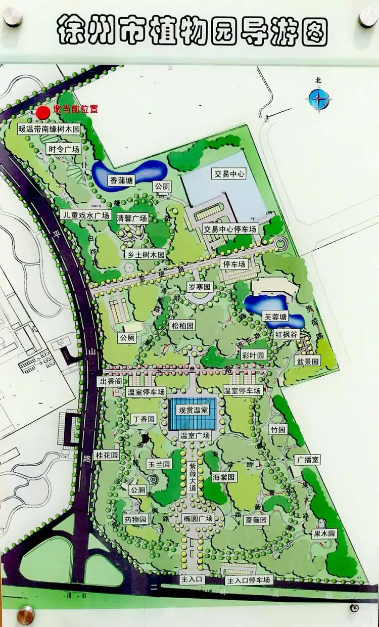 徐州植物园 • 月季花展