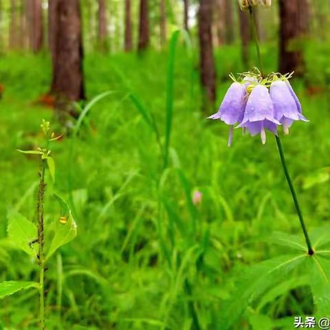 遇见夏天（2022.7.16商业街）