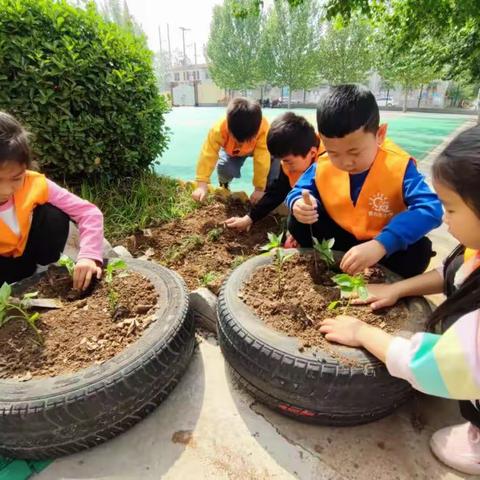 贾古庄小学附属幼儿园开展劳动节主题活动