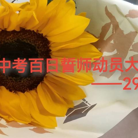 百日冲刺，逐梦前行！ ——294班中考百日誓师大会