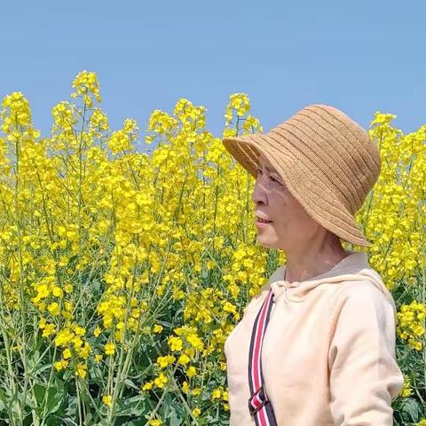 油菜花🌸🌸遇见🌸🌸桃花开