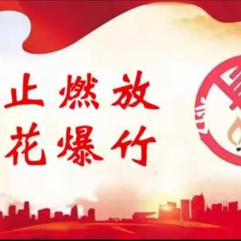 康驿镇东宋庄村“禁止燃放烟花爆竹”