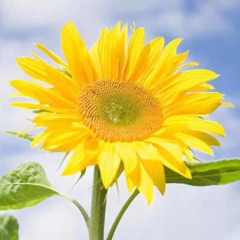 一年级语文科组六月美篇