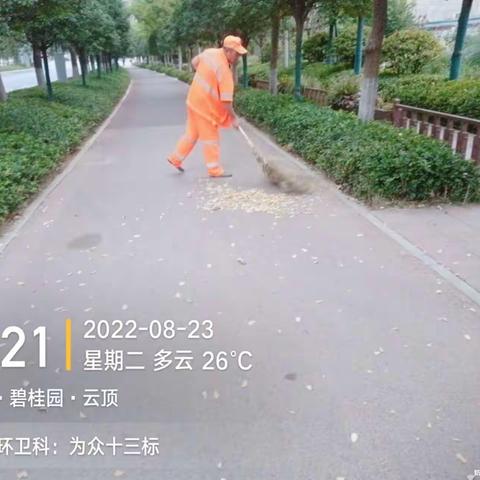 航天十三标8月23日工作日报