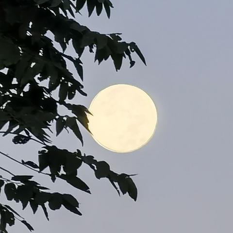 纸月亮