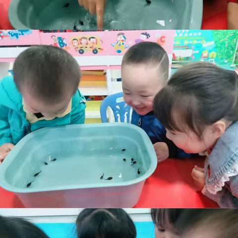 虹星好教育‖生活化课程——长大变变变