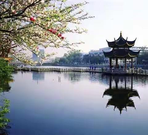 创新学习有激情   最美遇见在南通——尧都区小学道德与法治骨干教师南通培训纪实（四）