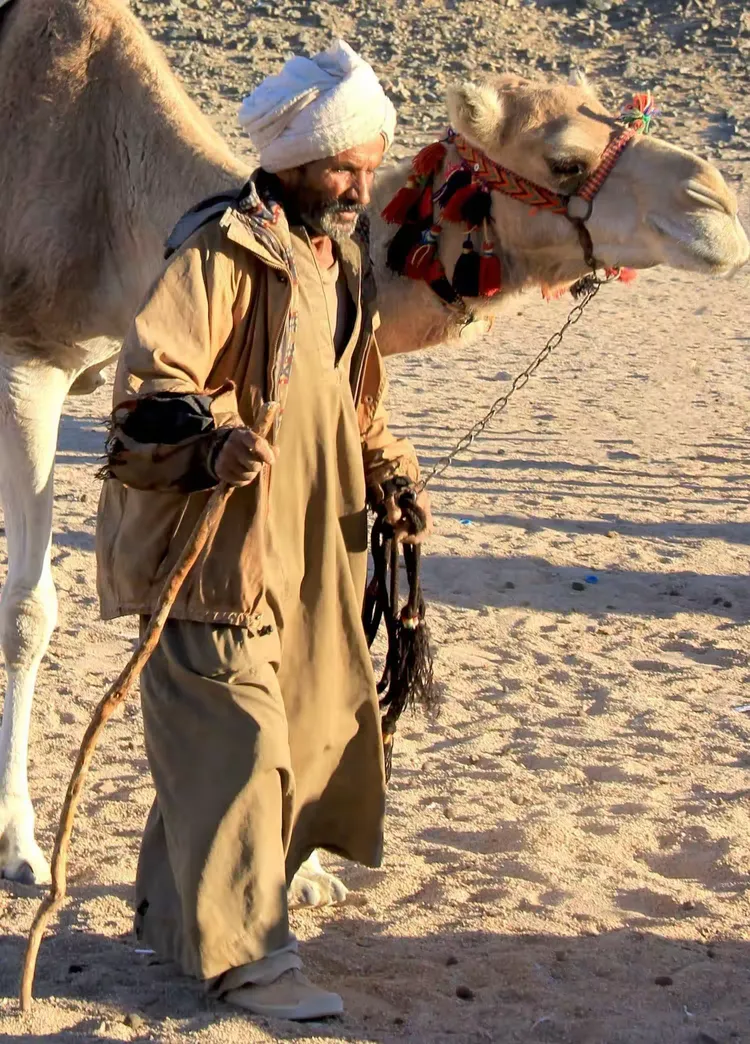 埃及散记(24): 贝都因人