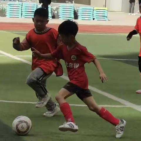 足球魅力无限，赛场激情有约