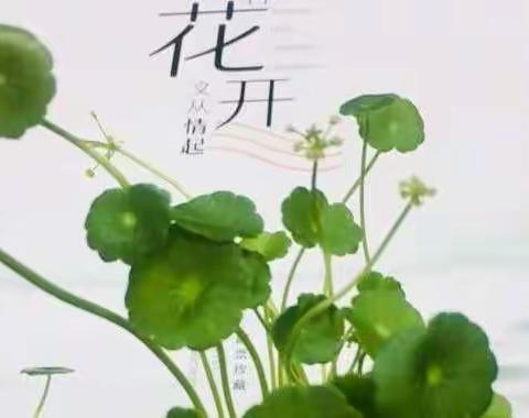 阎良分公司简易险漫谈