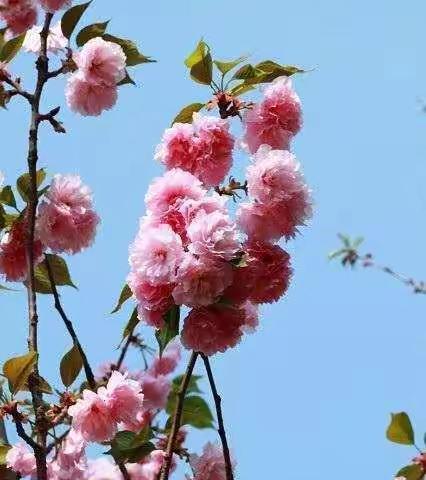 科学培训再启航 ，启智明思新征程！——实验小学参与全市小学科学大教研活动