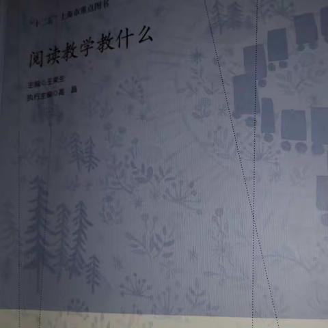 读写结合21天第六天之《阅读教学教什么》1