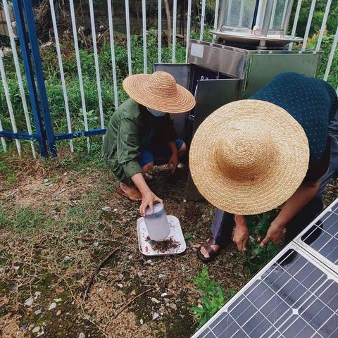 屯昌县农业技术和机械化事务中心全力做好疫情期间农作物稳产保供工作